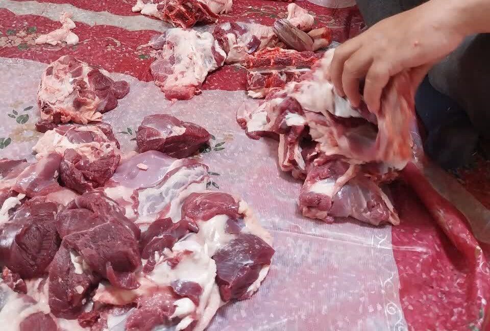 نمازگزاران یک مسجد در کرمان ۲۵ راس گوسفند برای سلامتی امام زمان قربانی کردند