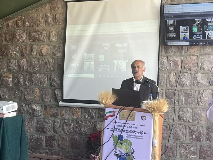 کردستان، سرآمد امنیت غذایی کشور / محوریت تحقیقات و الگوی کشت در توسعه کشاورزی