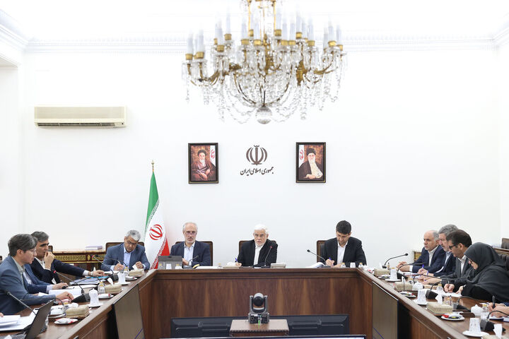 تشریح اقدامات بانک مرکزی در تحول نظام بانکی/ عارف: رفع ناترازی‌ها با جدیت پیگیری می‌شود