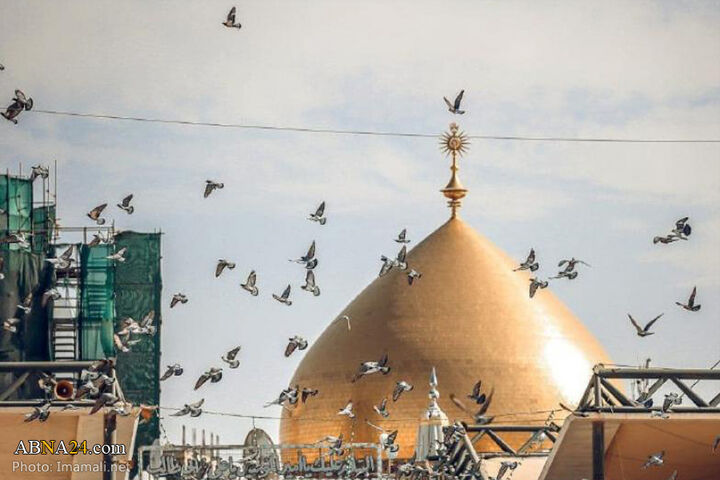 من یه کبوترم رو پشت بوم حرم