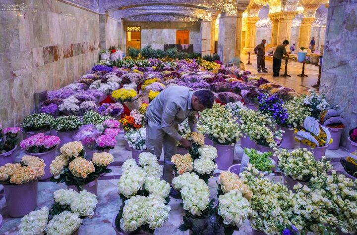 تزیین حرم مطهر امام علی(ع) با صدها هزار شاخه گل طبیعی