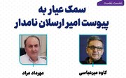 نشست «سمک عیار به پیوست امیر ارسلان نامدار» برگزار می‌شود