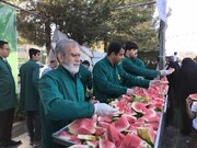 راهپیمایی کیلومتری مردم بیرجند در روز عید غدیر