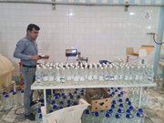 لزوم تخصیص اعتبار برای تهیه دارو از محصولات استراتژیک خراسان جنوبی