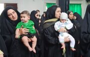 شیرخوارگان حسینی مازندران و کودکانی که نذر سربازی امام زمان(عج) می‌شوند