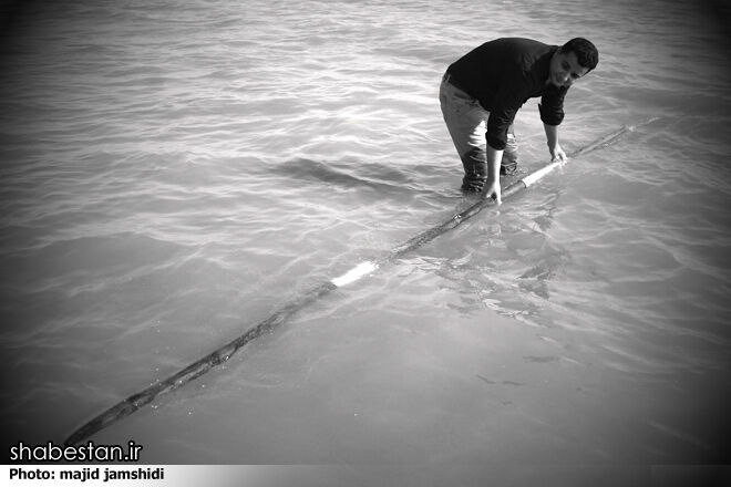 علم شویی؛ آیینی با قدمت ۳ قرن در بندرعباس