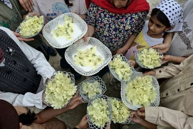 کانون پرورش فکری گرگان بذرِ علاقه به طبیعت را در دل کودکان کاشت