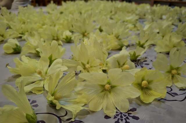 کانون پرورش فکری گرگان بذرِ علاقه به طبیعت را در دل کودکان کاشت