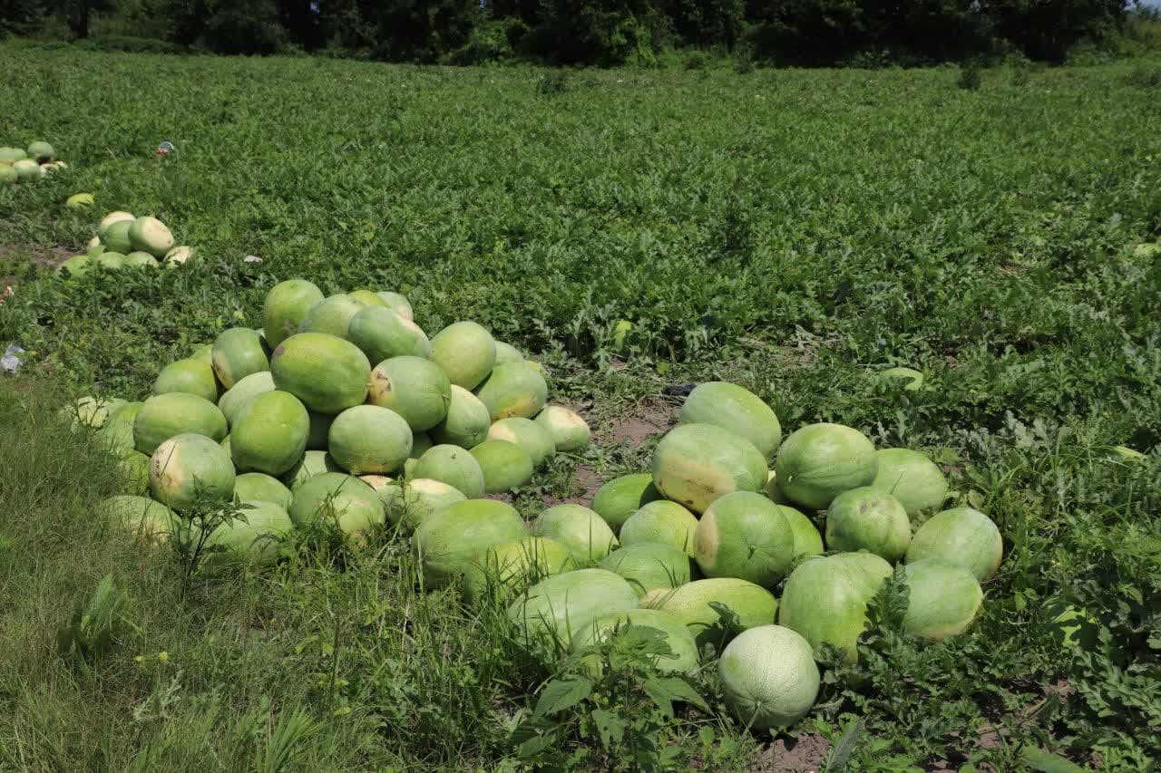 توسعه زیرساخت‌های صادراتی راهکاری اساسی  پایداری اقتصادی