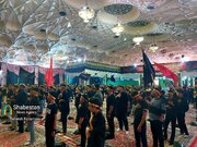 سیزدهمین سوگواره احلی من العسل در کرمان