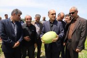توسعه زیرساخت‌های صادراتی راهکاری اساسی  پایداری اقتصادی