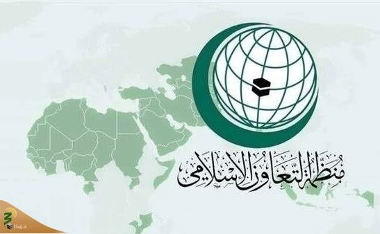 سازمان همکاری اسلامی تشدید نسل‌کشی در غزه را محکوم کرد