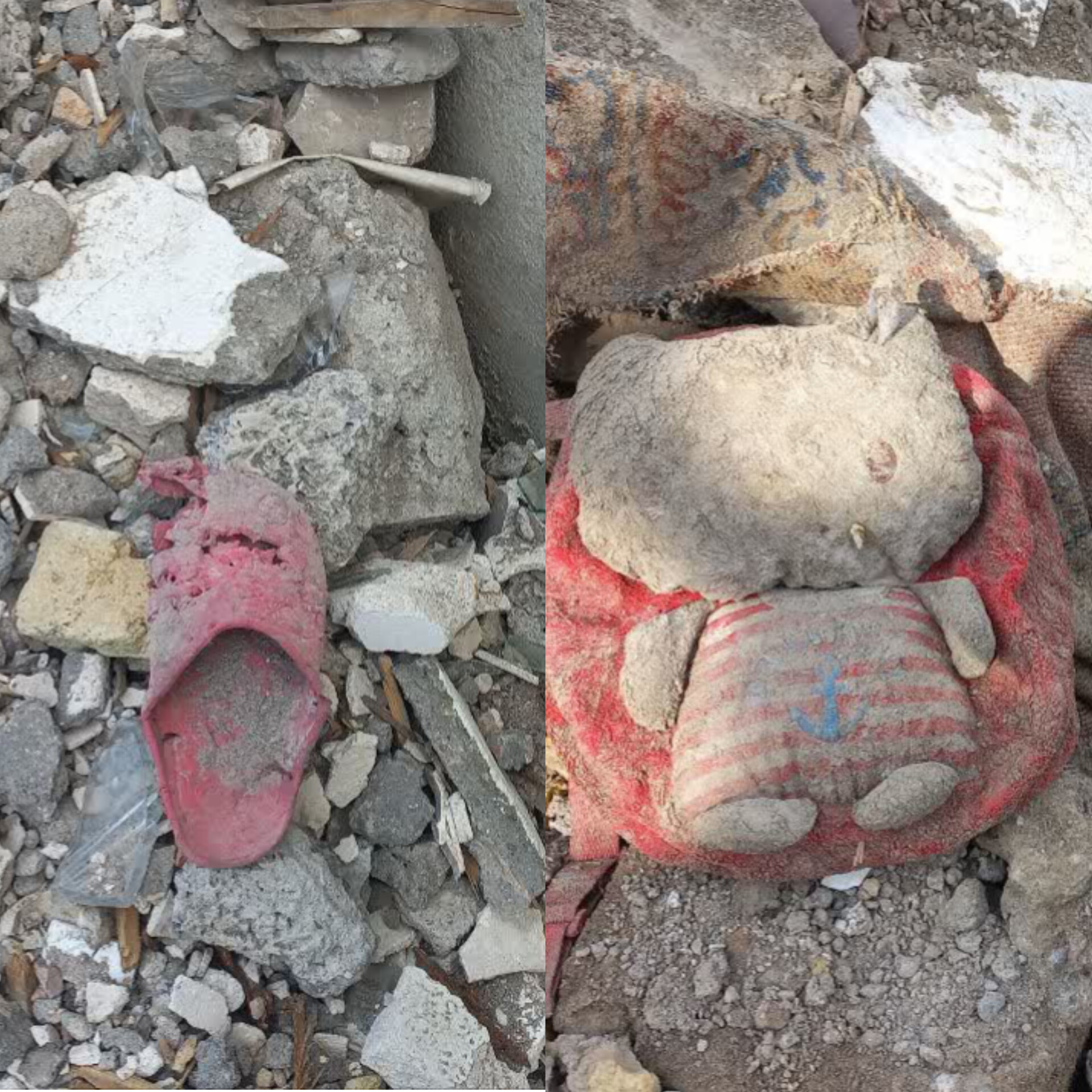 این خانواده جنگ را شکست داد/کبوترها میدانستند اینجا حرم است