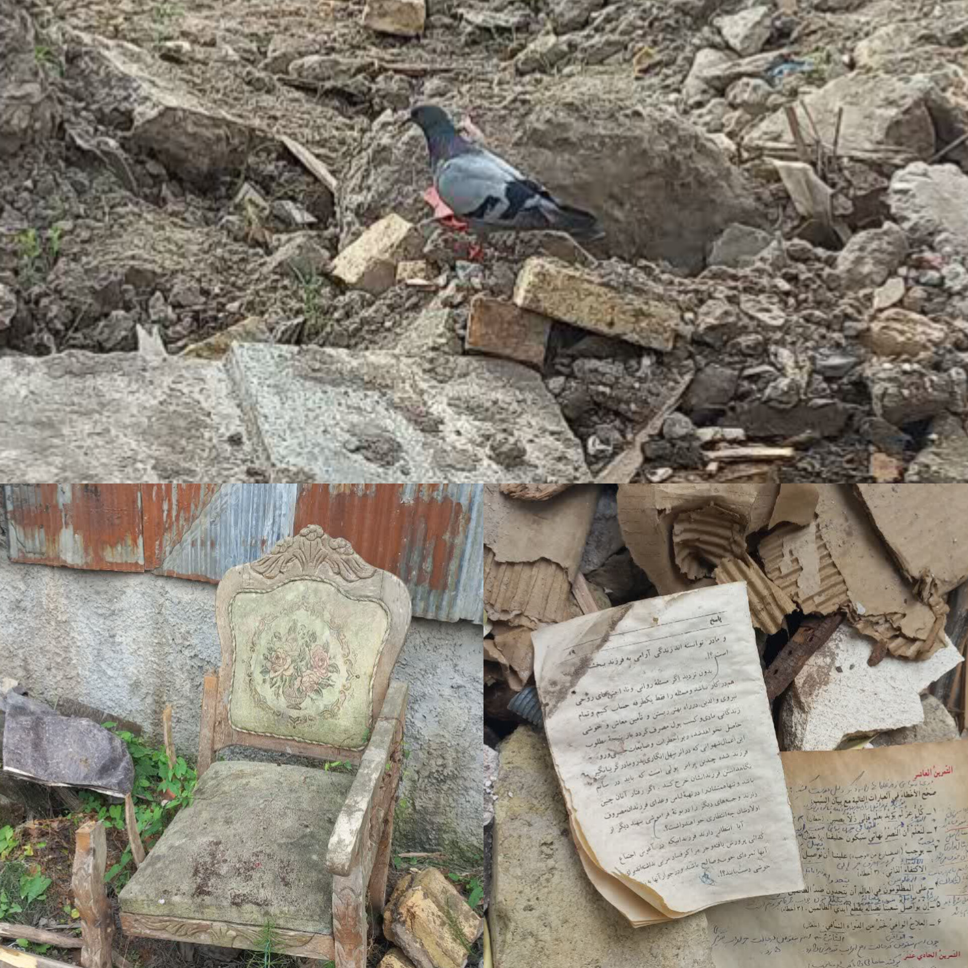 این خانواده جنگ را شکست داد/کبوترها میدانستند اینجا حرم است