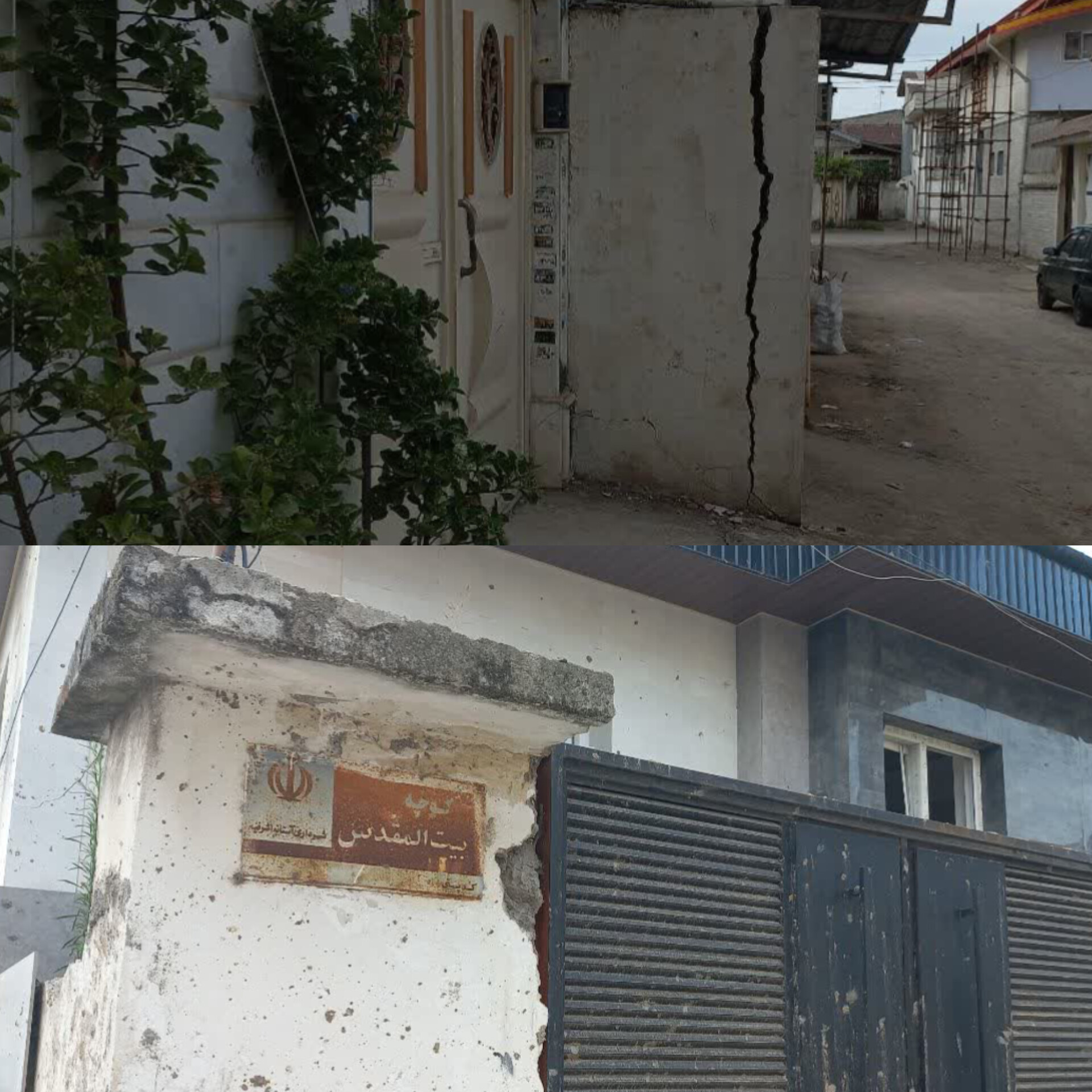 این خانواده جنگ را شکست داد/کبوترها میدانستند اینجا حرم است