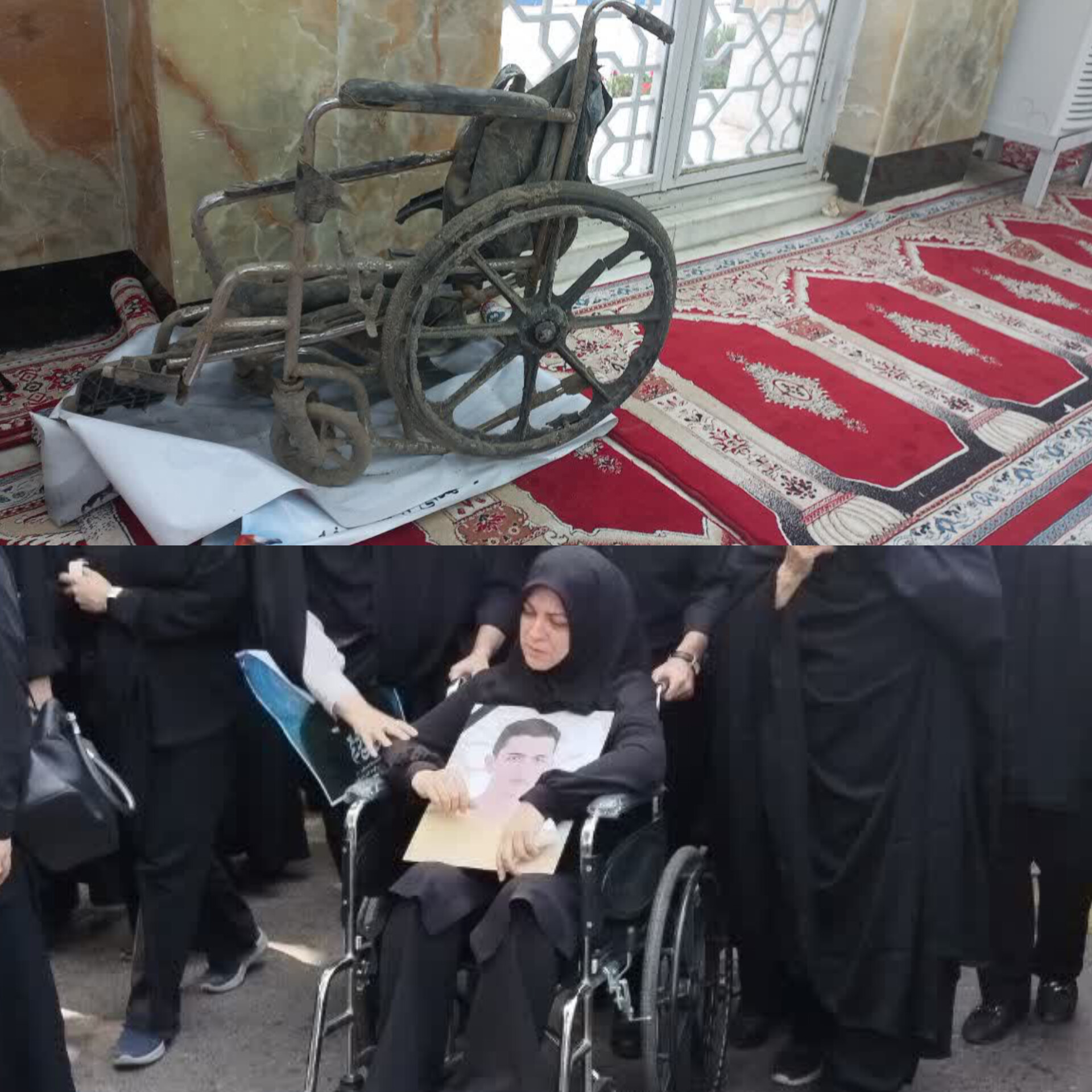 این خانواده جنگ را شکست داد/کبوترها میدانستند اینجا حرم است