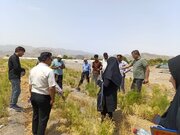 برگزاری روز مزرعه گیاهان دارویی با محوریت «مارچوبه و اپونتیا» در رودان