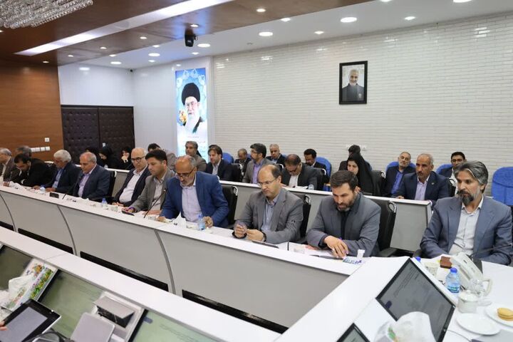 ۸۸ میلیارد تومان تسهیلات مشاغل خانگی در خراسان جنوبی پرداخت شد