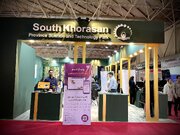 از روستا تا تجارت آنلاین؛ سامانه‌ای که مرزها را حذف کرده است