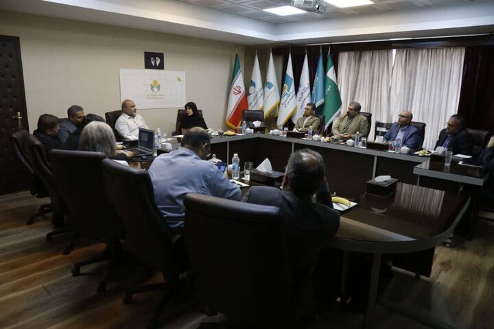 اتخاذ تصمیمات جدید در حوزه فعالیت های حمایتی از هنرمندان