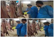 بازدید میدانی مدیر کل دامپزشکی هرمزگان از کشتارگاه صنعتی دام بندرعباس