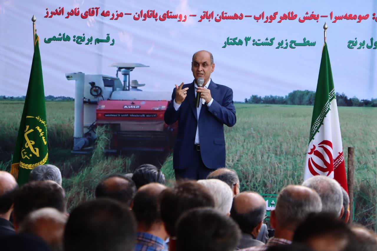 آیین اولین برداشت مکانیزه برنج در صومعه سرا