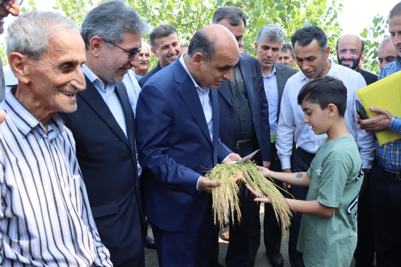 آیین اولین برداشت مکانیزه برنج در صومعه سرا