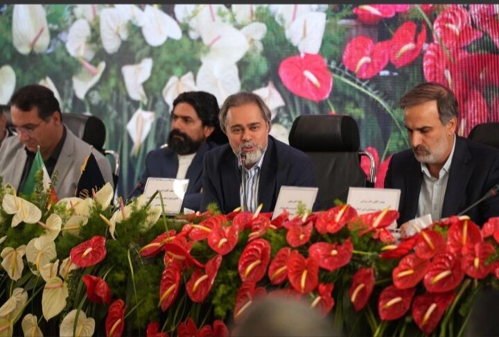 با سینما می‌توان مسائل بومی را جهانی کرد