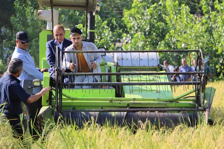 آیین اولین برداشت مکانیزه برنج در صومعه سرا