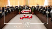 لایحه عضویت ایران در سازمان توسعه زنان سازمان همکاری اسلامی بررسی می‌شود