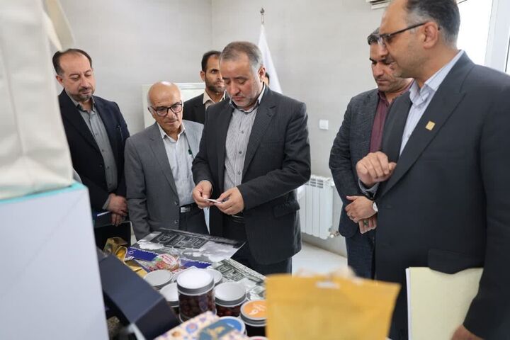 فاز نخست سوله‌های فرآوری محصولات استراتژیک خراسان جنوبی آماده بهره‌برداری است