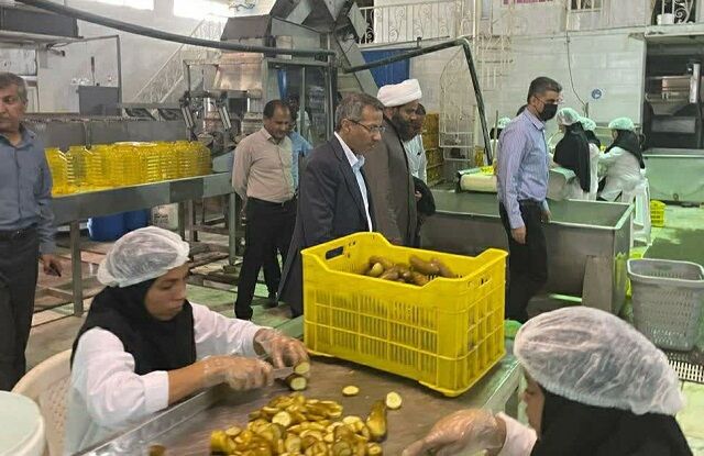 هدایت هدفمند منابع دولتی زمینه‌ساز تقویت تولید در حوزه کشاورزی است