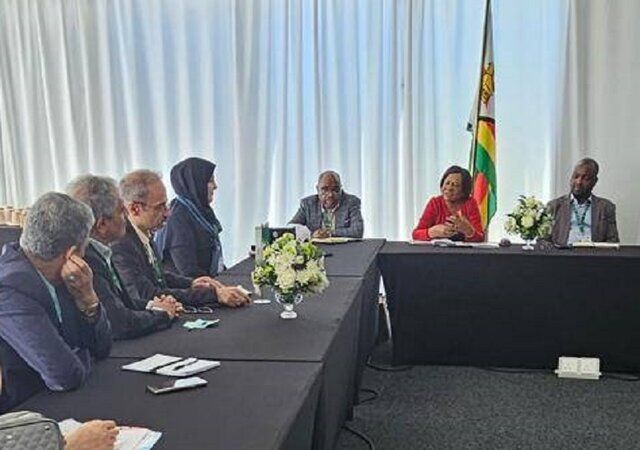 زیمبابوه خواستار گسترش همکاری‌های زیست‌محیطی با ایران شد