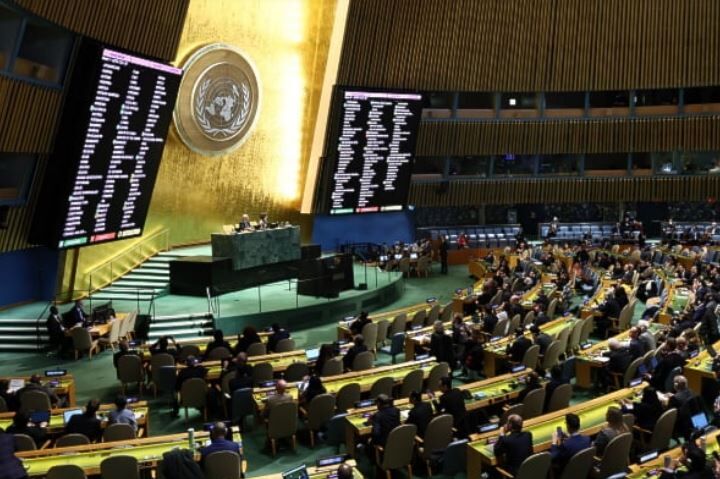 استقبال سازمان ملل از ناوگان جهانی صمود