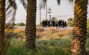 از فارس تا کربلا؛ روایتی از میزبانی بی‌وقفه در مسیر عشق