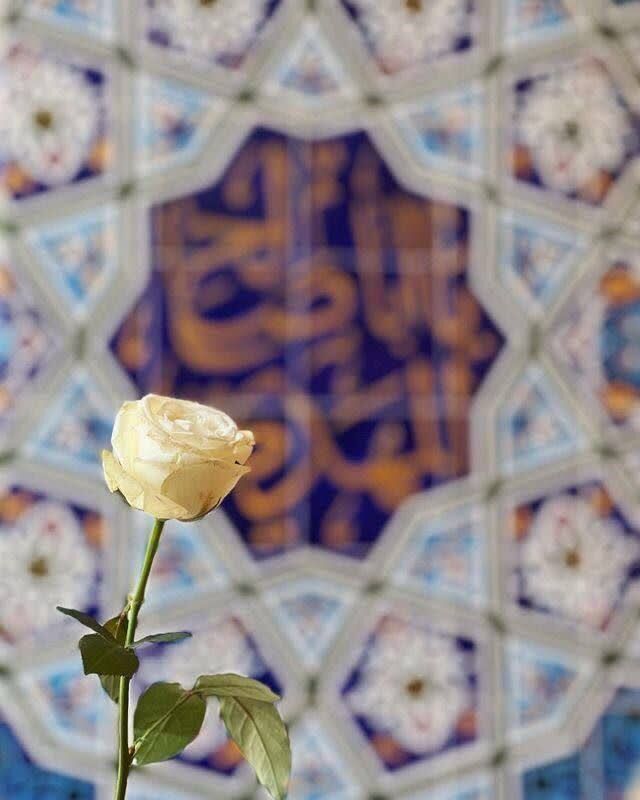 ۳۱۲+آینه؛ شاید آن یک نفر تو باشی، چه حسی داری؟