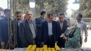 گلوگاه میزبان برگزاری نهمین شکرانه انجیر میوه بهشتی 
