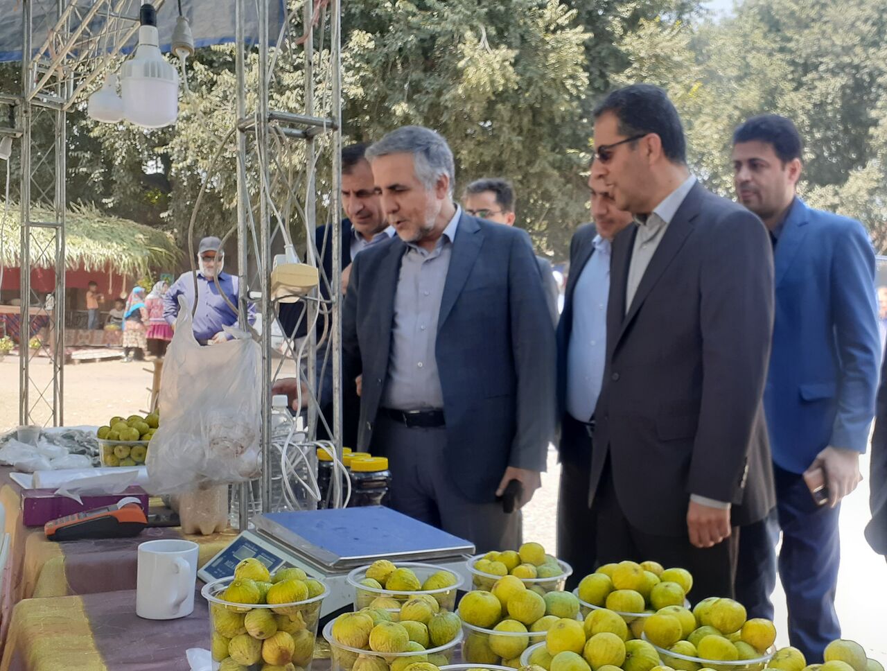 گلوگاه میزبان برگزاری نهمین شکرانه انجیر میوه بهشتی