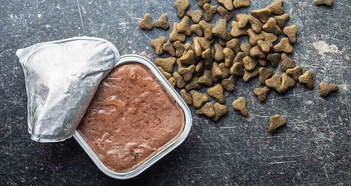 توصیه به زائران اربعین؛ از غذاهای خشک و کنسروی استفاده کنید