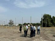 اجرای پروژه گلخانه میوه‌های گرمسیری با مشارکت شرکت اسپانیایی در رودان