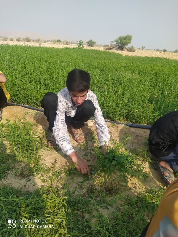 از دامنه کوه‌ تا عمود ۸۰۴؛ قصه دمنوش‌هایی که با دستان بچه‌های مسجد آماده می‌شود