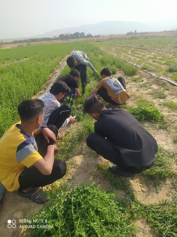 از دامنه کوه تا عمود ۸۰۴؛ قصه دمنوشهایی که با دستان بچههای مسجد آماده میشود