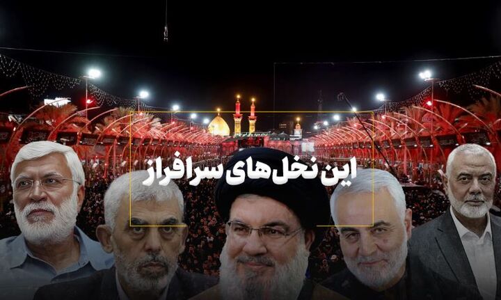 این نخل‌های سرافراز