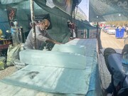 توزیع یخ و آب معدنی در میان موکب های پایانه مرزی خسروی و نقطه صفر مرزی