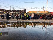 قدم‌های عاشقی؛ روایت تصویری از مسیر نور تا حرم حسین علیه‌السلام