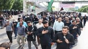 شور حسینی در هرمزگان؛ پیاده‌روی جاماندگان اربعین با شعار«دل‌هایمان زائر کربلاست»