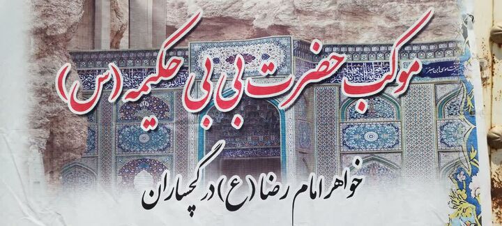 حمایت موکب حضرت بی بی حکیمه(س) از سایر مواکب