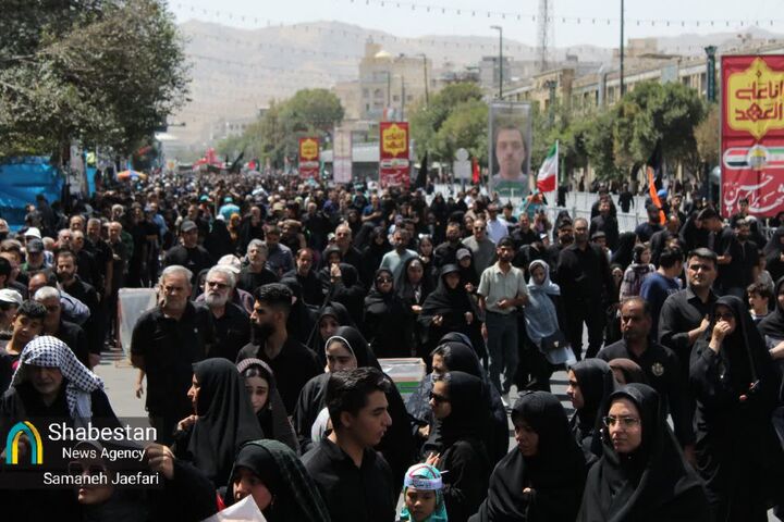 خط عاشقی از مشهدالرضا تا کربلای معلا