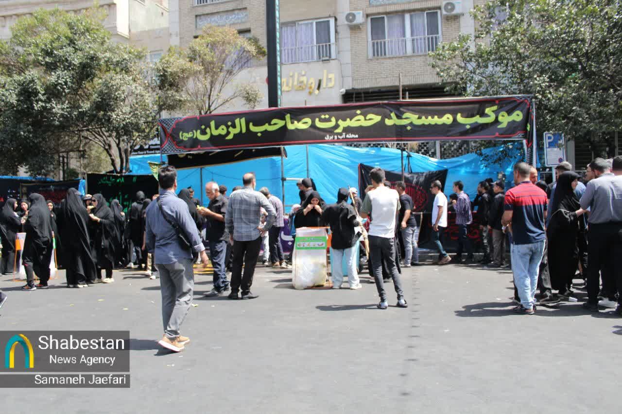 خط عاشقی از مشهدالرضا تا کربلای معلا