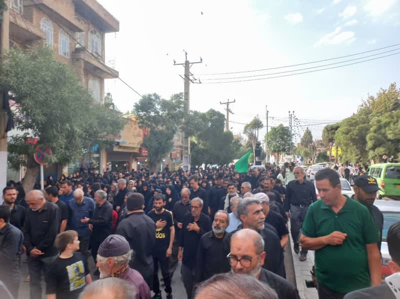 قدم‌های جا مانده و دل‌های عاشق همدانی‌ها تا کربلا پر کشید